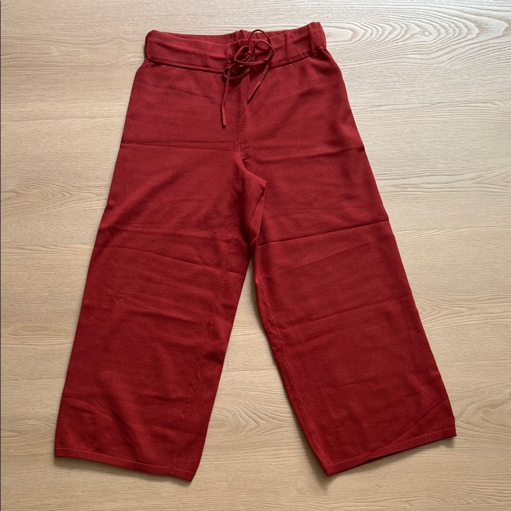 Aritzia pants